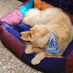 HAY | Dogs Scarf - Light Blue -Earl of East Store R04271221 LIGHTBLUE ALT05