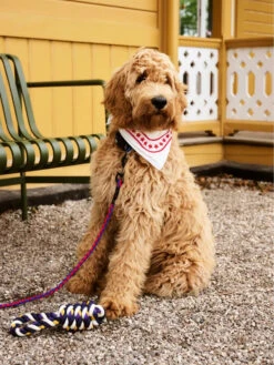 HAY | Dogs Scarf - Off White -Earl of East Store R04271221 OFFWHITE ALT02