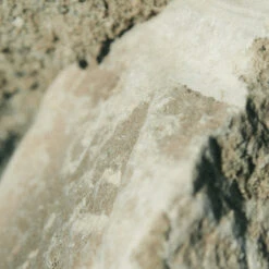 Earl Of East | Atlas Cedar - Soy Wax Candle - 260ml [9.1oz] -Earl of East Store earl of east atlas cedar natural soy wax candle 260 2