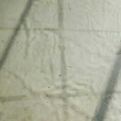 Earl Of East | Greenhouse - Soy Wax Candle - 260ml [9.1oz] -Earl of East Store earl of east greenhouse natural soy wax candle 260 2