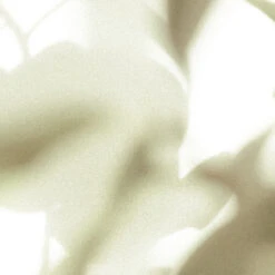 Earl Of East | Viagem - Soy Wax Candle - 260ml [9.1oz] -Earl of East Store earl of east viagem natural soy wax candle 260 2