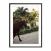 The Happiness Collective | 'A Horse With No Name' On Film - Framed Print -Earl of East Store the happiness collective film photography print horse 2