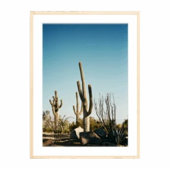 The Happiness Collective | 'Stick Em Up' On Film - Framed Print